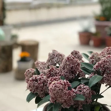 Casa vacanze Le Piagge